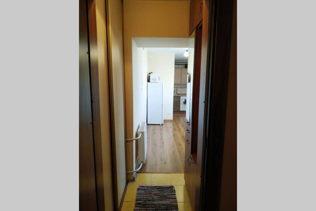 9Th Floor Amazing View Central Studio Apartment VNO Buitenkant foto