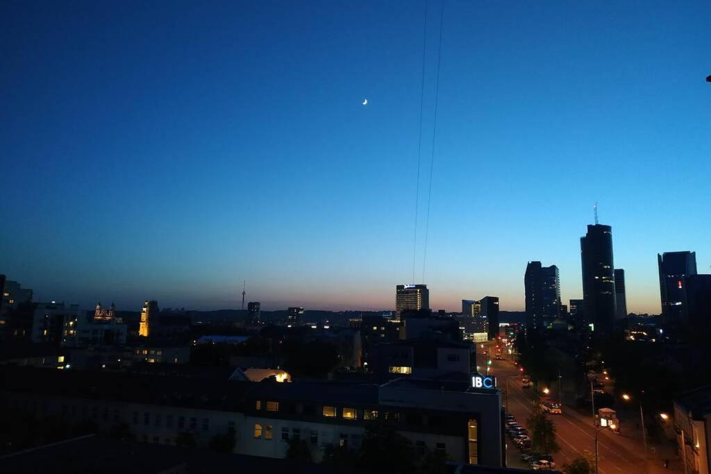 9Th Floor Amazing View Central Studio Apartment VNO Buitenkant foto
